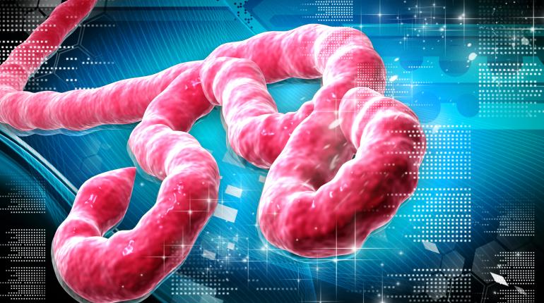 New Ebola Case Confirmed in Abuja: Nigeria Initiates Urgent Contact Tracing